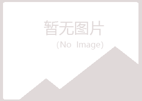 宁夏埋没化学有限公司